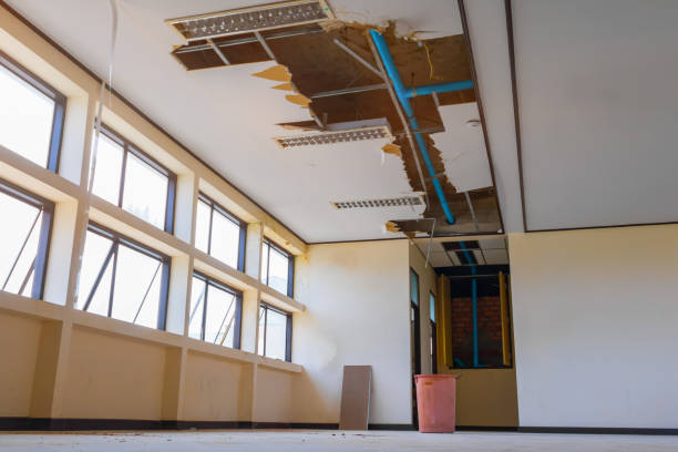 Best 24-hour water damage restoration  in Highlands, CA