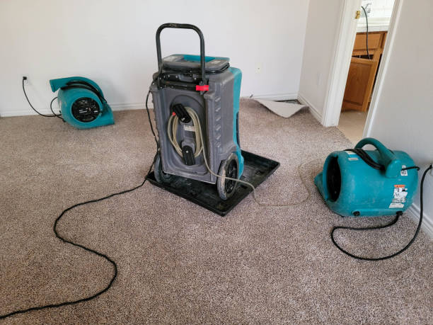 Best Water damage cleanup near me  in Highlands, CA