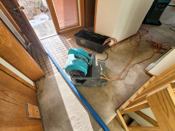 Best Ceiling water damage repair  in Highlands, CA