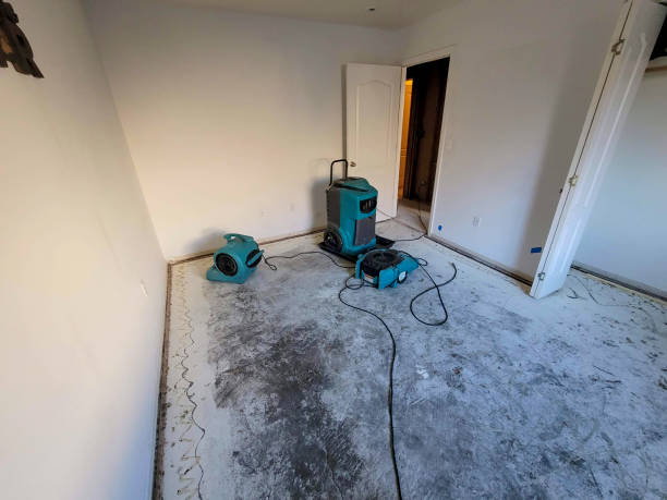 Best Sewage cleanup and water damage restoration  in Highlands, CA