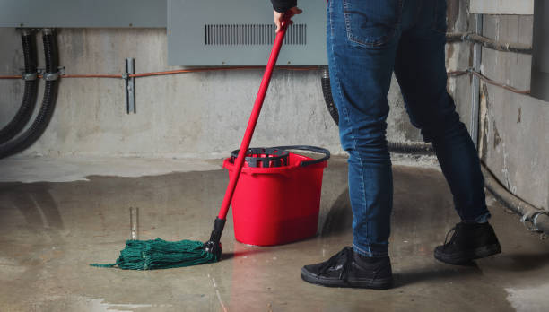  Highlands, CA Water damage restoration Pros