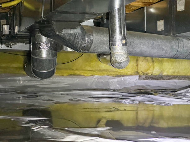 Best Local water damage restoration  in Highlands, CA
