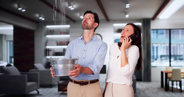 Best Carpet water damage restoration  in Highlands, CA