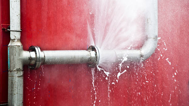 Best Ceiling water damage repair  in Highlands, CA